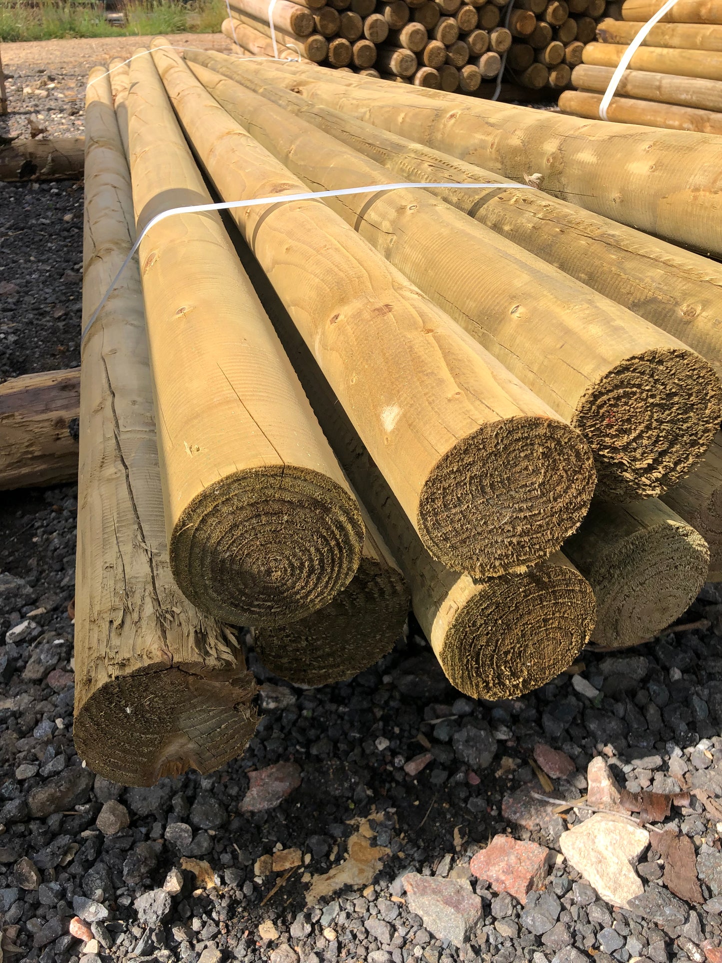 Timber Jump Poles