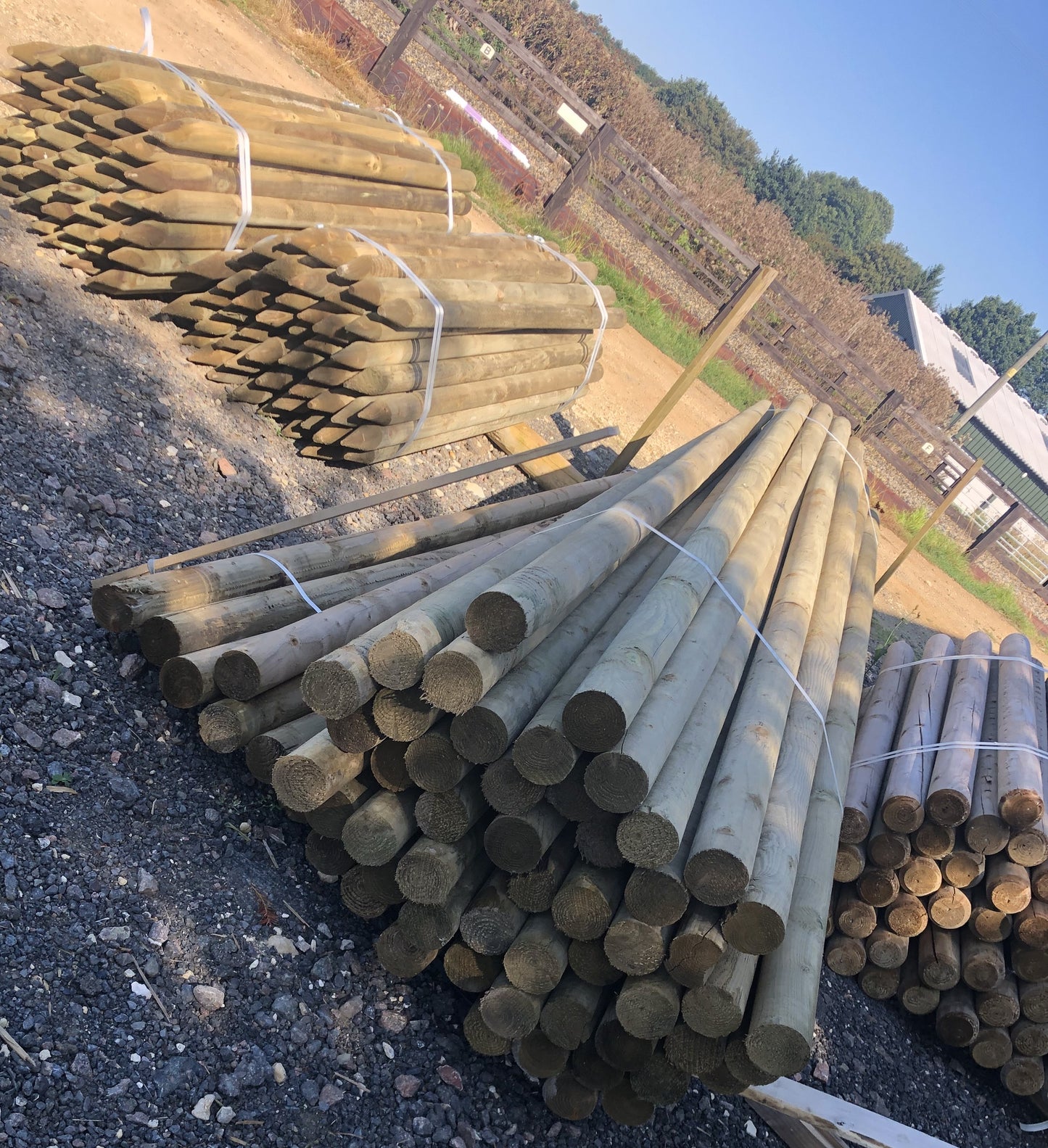Timber Jump Poles