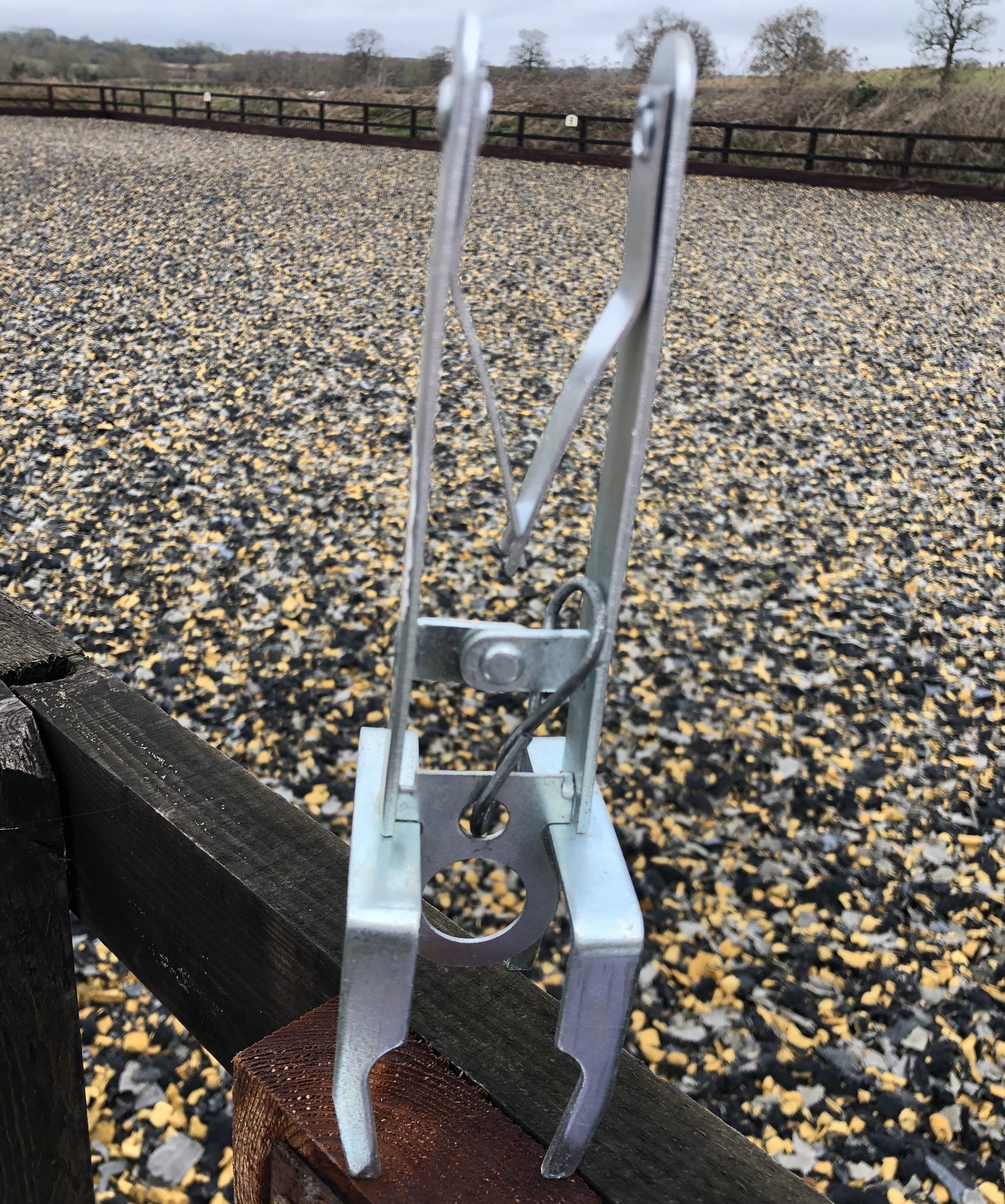 Traps & Feed Stations